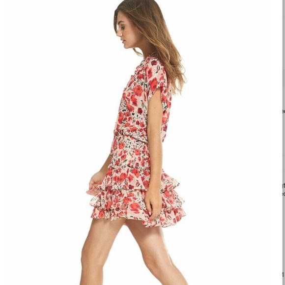 MISA Los Angeles Eloisa Dress - Picture 3 of 10